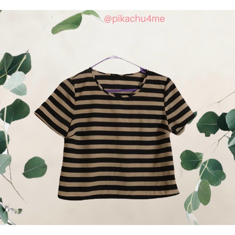 Stripes Crop Tops Tees Black Brown Tan